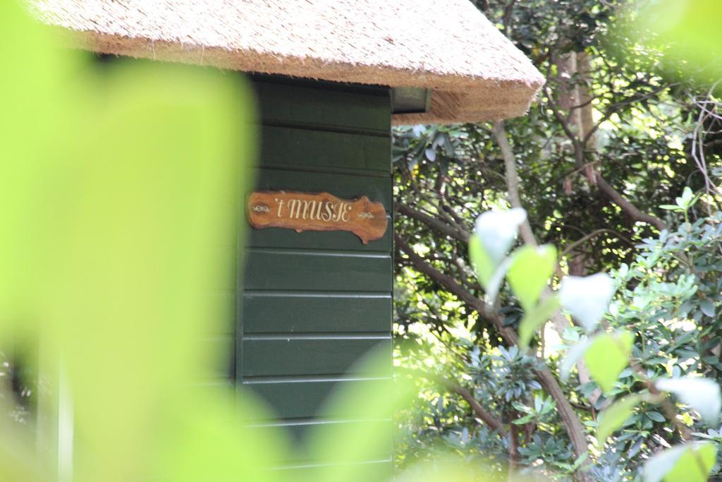 Vakantiehuis 'T Musje เอเปอ ภายนอก รูปภาพ